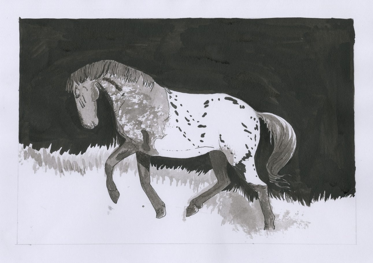 A painted horse with a unique pattern walking through grass.