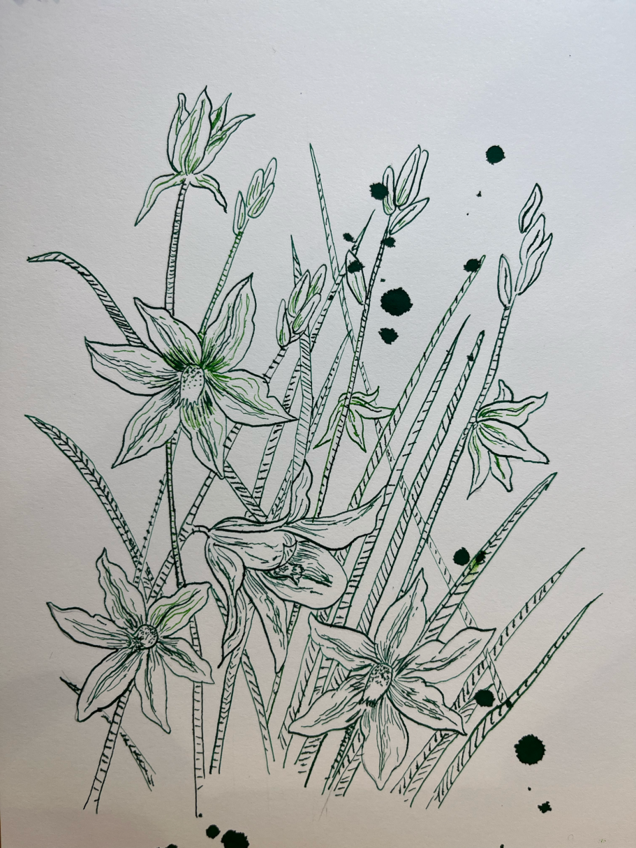 Illustration of delicate flowers and grass with subtle green and black ink details.